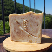 Load image into Gallery viewer, Savons exfoliant pour le corps et visage par Nous le Savon