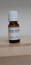 Load image into Gallery viewer, He Eucalyptus CitrioDora, Biological India 11ml (Eucalyptus CitrioDora (Hook.))