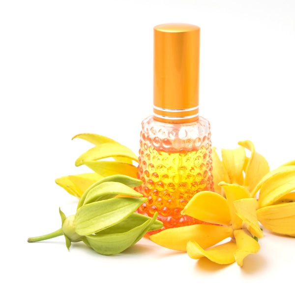 Fragrance Ylang Ylang 15 ml (huile)
