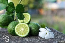 Load image into Gallery viewer, He Bergamot Organic India (Citrus Aurantium Bergamia (Bergamot) Fruit Oil)