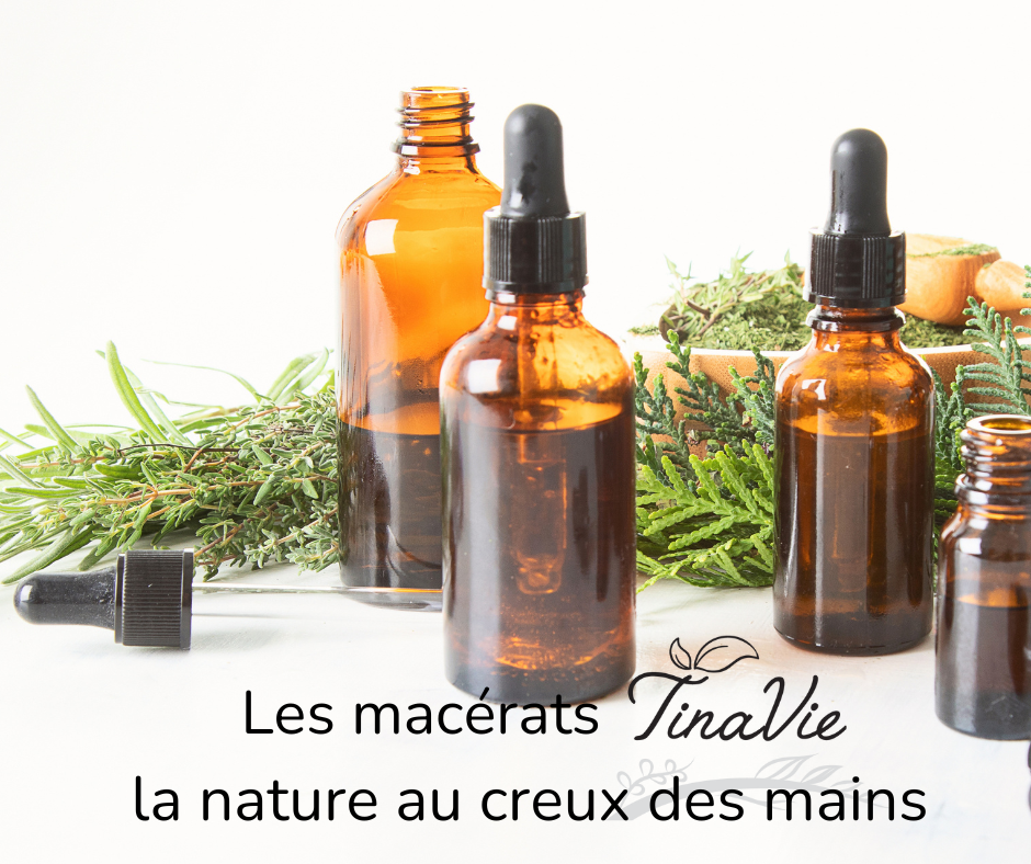 Macerat huileux Romarin BIO  50 ml (Rosmarinus officinalis)