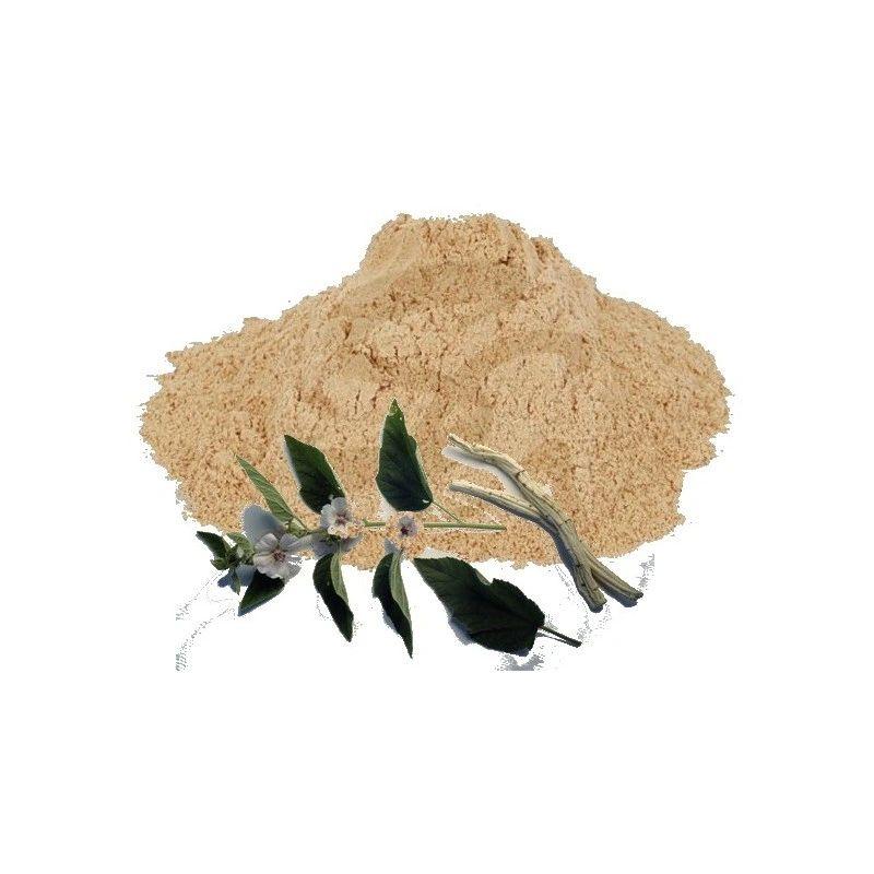 Powdered marshmallow root (althaea officinalis)