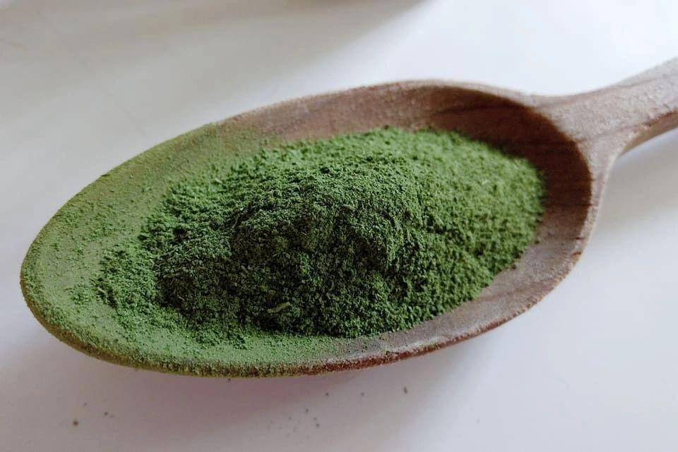 Nettle Powder (Urtica Dioica)