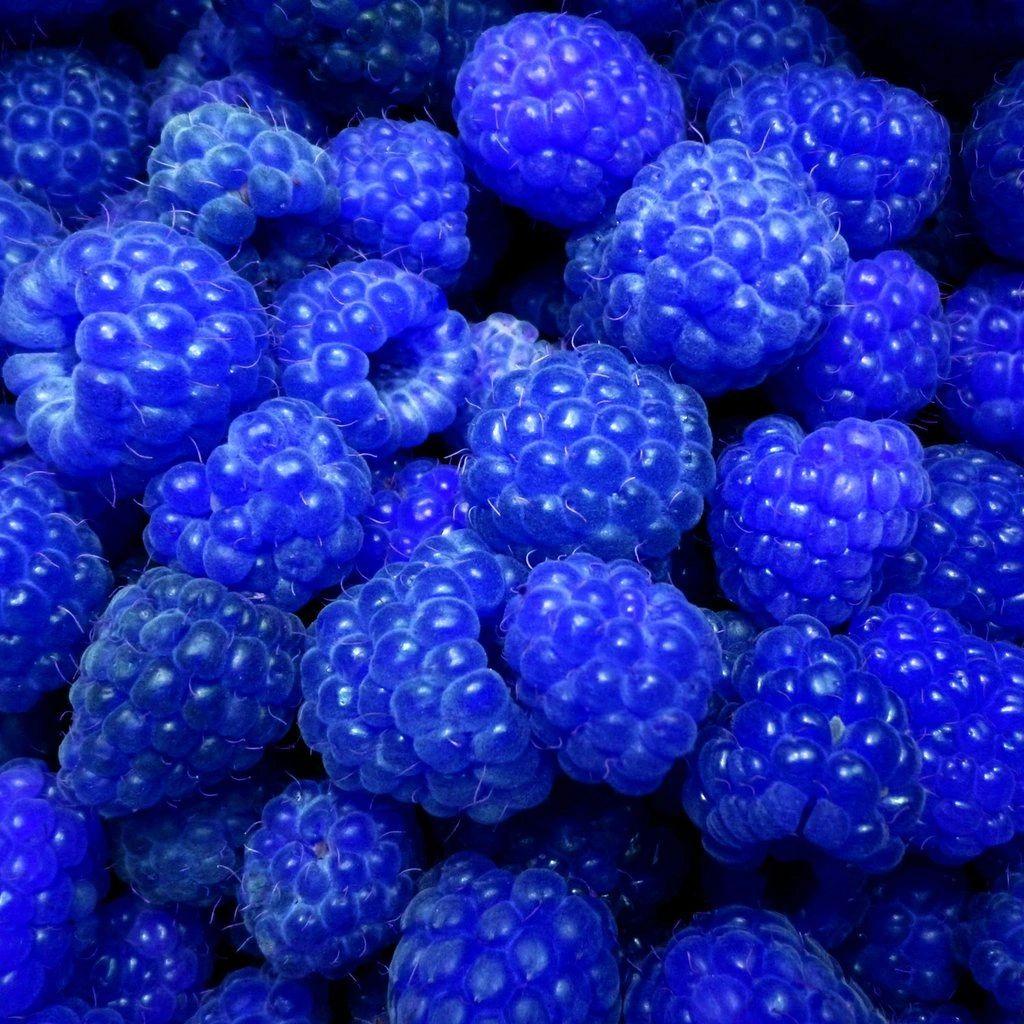 Aromatic essence of blue raspberries (ideal for lips) 5 ml (oil) 100% natural