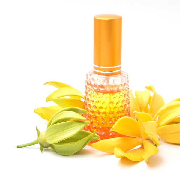 Fragrance Ylang Ylang 15 ml (Oil)