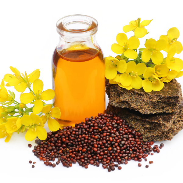 Organic mustard oil (Brassica Nigra Seed Oil) 100 ml