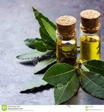 Load image into Gallery viewer, Organic laurel berry oil (Laurus nobilis) 100 ml
