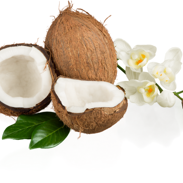 Fragrance noix de coco des îles (huile)